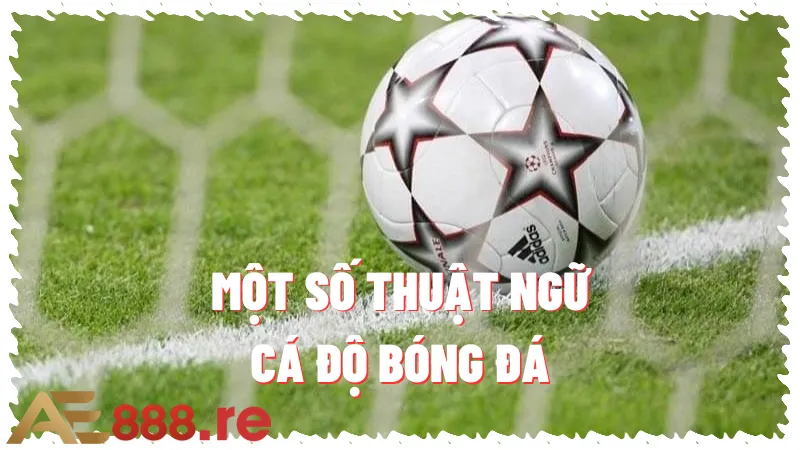 Thuật Ngữ Cá Độ Bóng Đá Mà Người Chơi Cần Biết