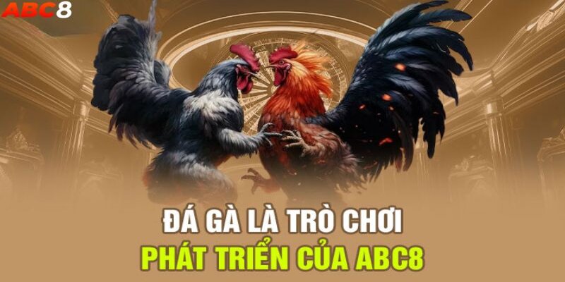 Giới thiệu tổng quát về đá gà abc8