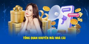 Khuyến Mãi WW88 Hấp Dẫn Hàng Đầu Dành Riêng Cho Khách Hàng